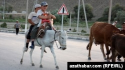 Иллюстративное фото 