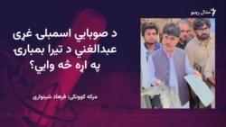 عبدالغني وايي د پوځ د جیټ الوتکو د بمبارۍ حال د بیانولو نه دی