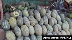 د کندز ولایت خټکي