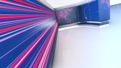 Cот менен саясат аралашпы?