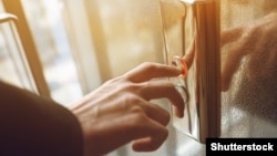 Иллюстрация. 