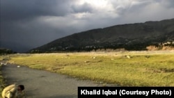 د سوات درشخېله - د ارشیف انځور 