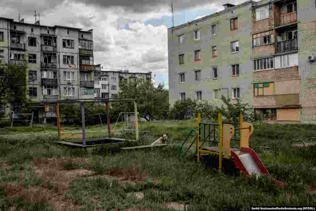 Oficial, în oraș nu mai sunt copii. Cu toate acestea, unii părinți revin cu ei după evacuare și îi ascund de autorități.