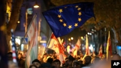 Флаги Грузии и ЕС на акции в Тбилиси