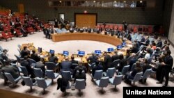 Sednica Saveta bezbednosti UN, Njujork, februar 2019.